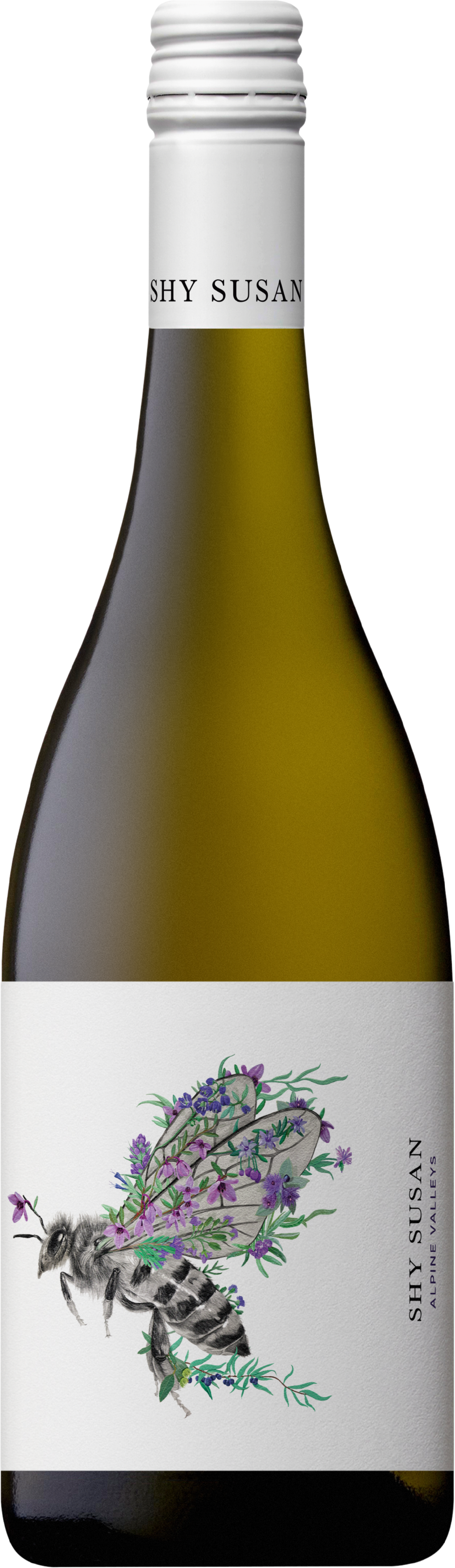Billy Button Wines Shy Susan Pinot Gris 2024 Alpine Valleys